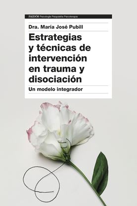 Imagen de ESTRATEGIAS Y TECNICAS DE INTERVENCION E