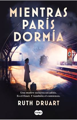 Imagen de MIENTRAS PARIS DORMIA