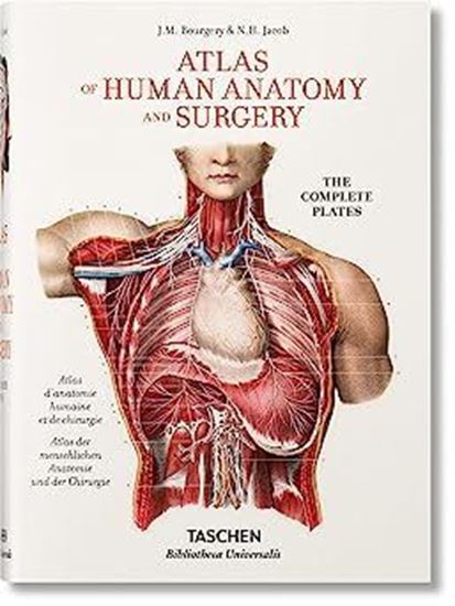 Imagen de BOURGERY. ATLAS DE ANATOMIA HUMANA (BU)