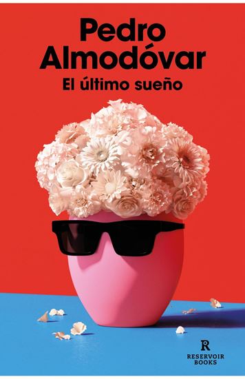 Imagen de EL ULTIMO SUEÑO