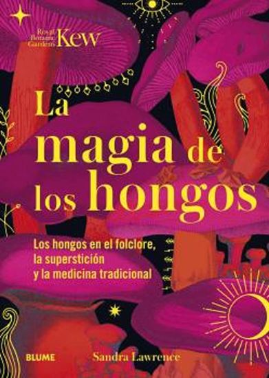Imagen de MAGIA DE LOS HONGOS