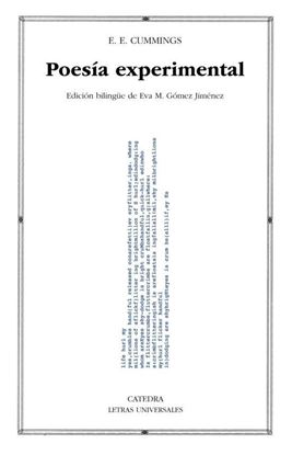 Imagen de POESIA EXPERIMENTAL