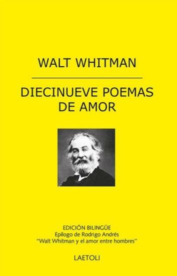 Imagen de DIECINUEVE POEMAS DE AMOR