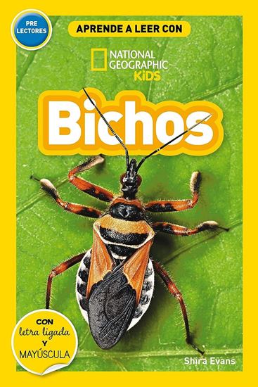 Imagen de BICHOS (APRENDE A LEER CON NATIONAL GEO)