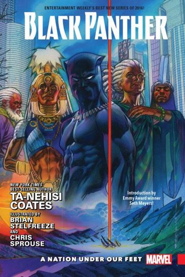 Imagen de BLACK PANTHER VOL. 1: A NATION UNDER OUR