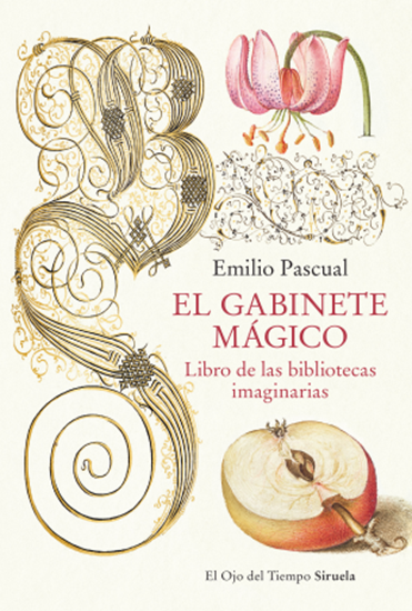 Imagen de EL GABINETE MAGICO. LIBRO DE LAS BIBLIOT