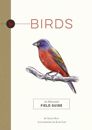 Imagen de BIRDS: AN ILUSTRATED FIELD GUIDE