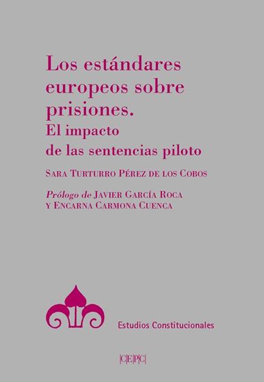 Imagen de LOS ESTANDARES EUROPEOS / PRISIONES (OF2