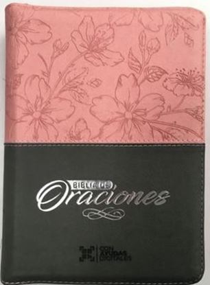 Imagen de SANTA BIBLIA RV LG ORACION (ROSA/GRIS)