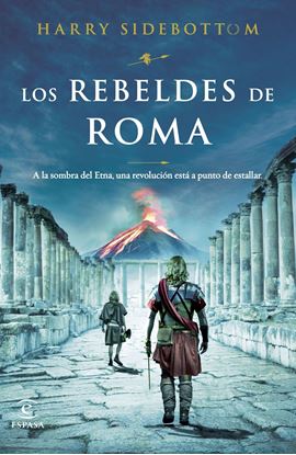 Imagen de LOS REBELDES DE ROMA
