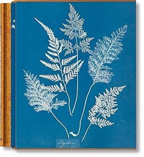 Imagen de ANNA ATKINS. CYANOTYPES (CL) (INT)