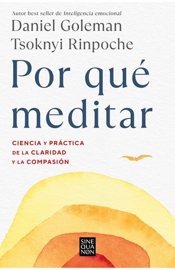Imagen de POR QUE MEDITAR