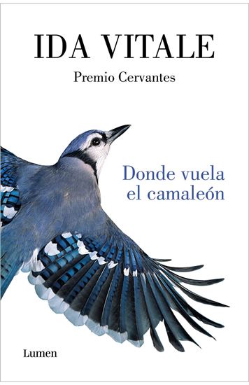 Imagen de DONDE VUELA EL CAMALEON