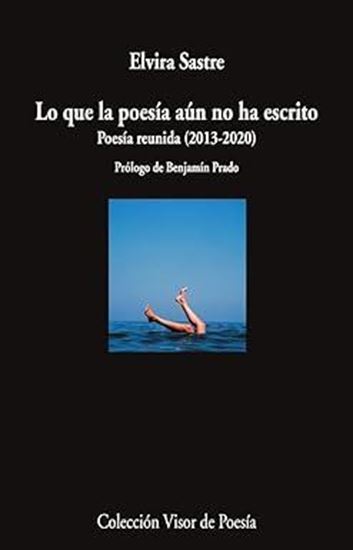 Imagen de LO QUE LA POESIA AUN NO HA ESCRITO