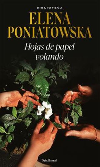 Imagen de HOJAS DE PAPEL VOLANDO (OF2)