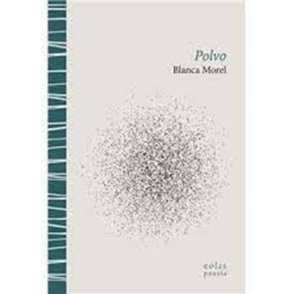 Imagen de POLVO