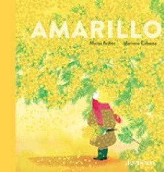 Imagen de AMARILLO (JUVENTUD)