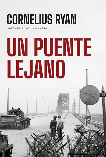 Imagen de UN PUENTE LEJANO
