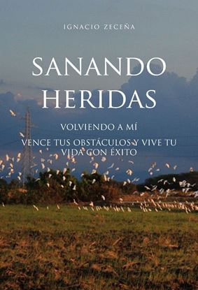 Imagen de SANANDO HERIDAS