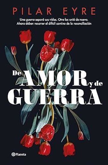 Imagen de DE AMOR Y DE GUERRA