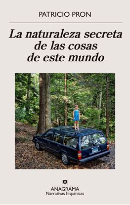 Imagen de LA NATURALEZA SECRETA DE LAS COSAS