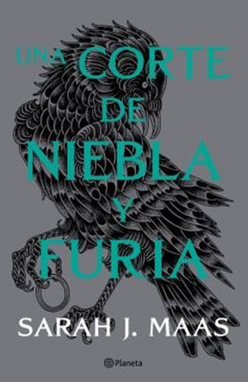 Imagen de UNA CORTE DE NIEBLA Y FURIA (MX)