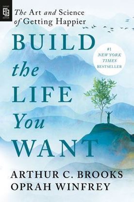 Imagen de BUILD THE LIFE YOU WANT (EXP)