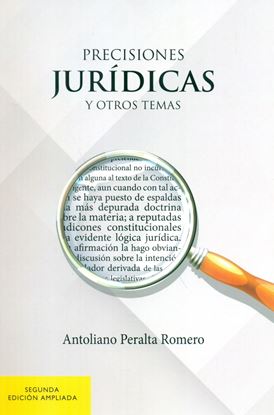 Imagen de PRECISIONES JURIDICAS Y OTROS TEMAS (2ED