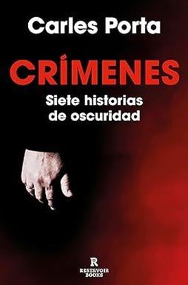 Imagen de CRIMENES. SIETE HISTORIAS DE OSCURIDAD