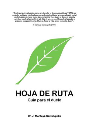 Imagen de HOJA DE RUTA. GUIA PARA EL DUELO