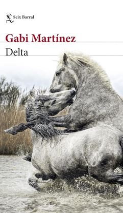 Imagen de DELTA (OF)