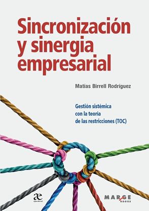 Imagen de SINCRONIZACION Y SINERGIA EMPRESARIAL