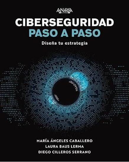 Imagen de CIBERSEGURIDAD PASO A PASO