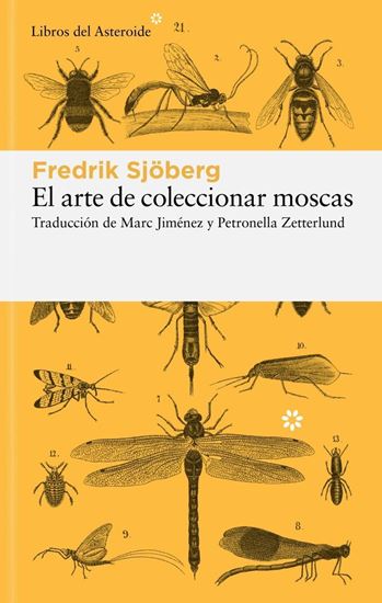 Imagen de EL ARTE DE COLECCIONAR MOSCAS