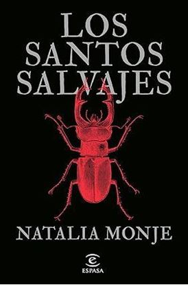 Imagen de LOS SANTOS SALVAJES