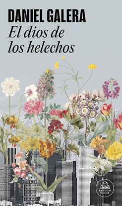 Imagen de EL DIOS DE LOS HELECHOS