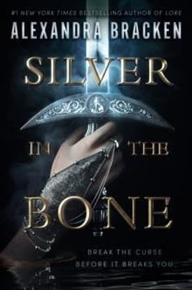 Imagen de SILVER IN THE BONE