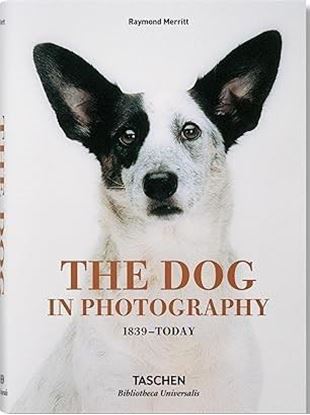 Imagen de THE DOG IN PHOTOG. 1839–TODAY (BU) (INT)