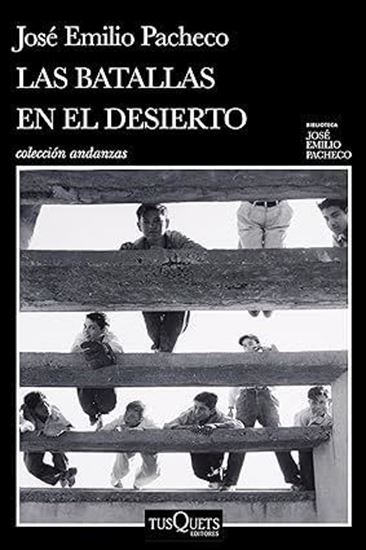 Imagen de LAS BATALLAS EN EL DESIERTO