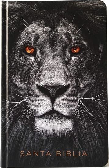 Imagen de BIBLIA REINA VALERA 1960 LG, MANUAL, TD