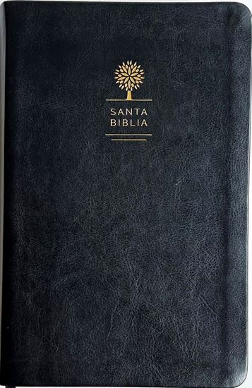 Imagen de BIBLIA RVR 1960 LETRA GRANDE. SIMIL PIEL