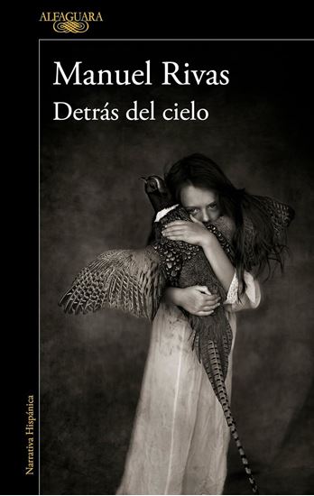 Imagen de DETRAS DEL CIELO (OF)