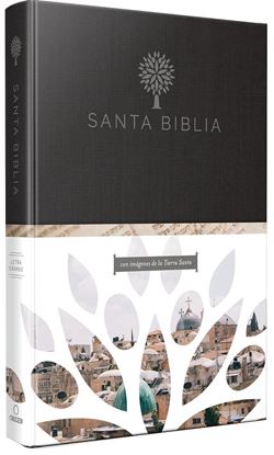 Imagen de BIBLIA RVR 1960 TAMAÑO GRANDE, LG TAPA D