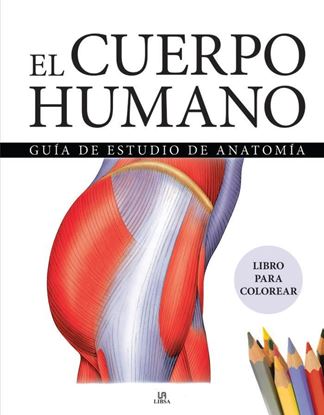 Imagen de EL CUERPO HUMANO. LIBRO PARA COLOREAR