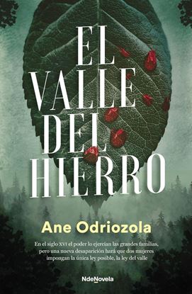 Imagen de EL VALLE DEL HIERRO