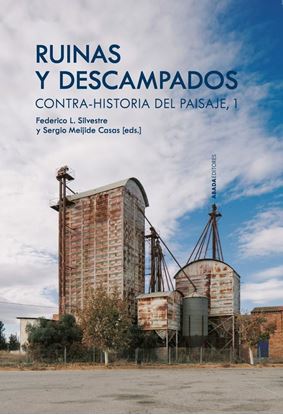 Imagen de RUINAS Y DESCAMPADOS