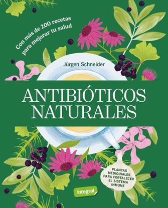 Imagen de ANTIBIOTICOS NATURALES