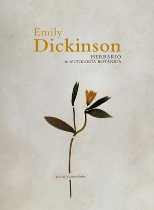 Imagen de HERBARIO Y ANTOLOGIA BOTANICA