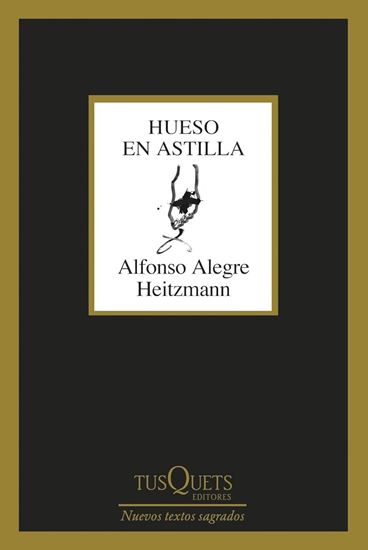 Imagen de HUESO EN ASTILLA