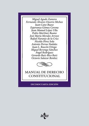 Imagen de MANUAL DE DERECHO CONSTITUCIONAL